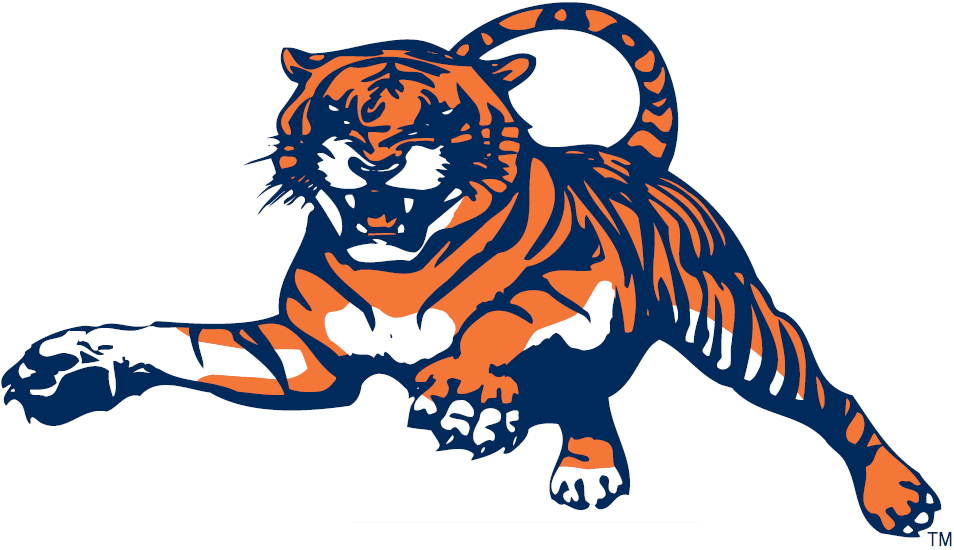 Auburn Tigers 1982-1997 Alternate Logo diy iron on heat transfer